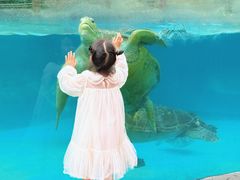 -海合安成都极地海洋公园