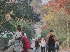 -紫金山山顶公园