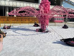 -沈阳奥体冰雪嘉年华