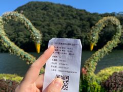 -广州市石门国家森林公园