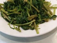 -香乡美食府特色肥西老母鸡(三河古镇店)