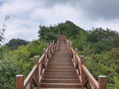 -大岭沟猕猴桃谷风景区