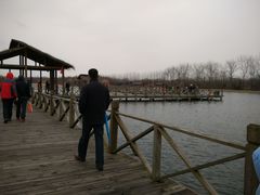 -溱湖国家湿地公园