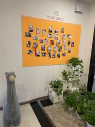 -佳宝全套房精品月子会所(大华店)