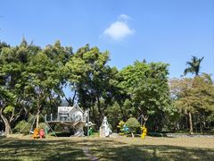 -银湖山郊野公园-相思林