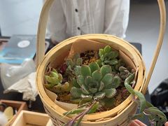 -上海汇之星奔驰4S店(浦东新店)