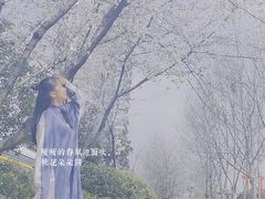 -砂之船奥莱(南京江宁店)
