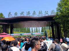 -黄海国家森林公园