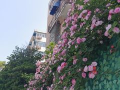 -回龙窝历史文化街区