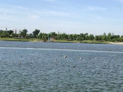 -映月湖中央公园
