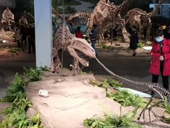 -自贡恐龙博物馆