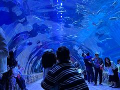 -华夏文旅海洋公园