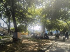 -观潮胜地公园