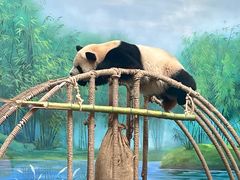 -杭州动物园