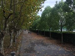 -华东政法大学(松江校区)