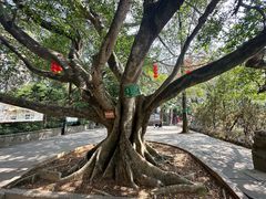 -中山纪念堂