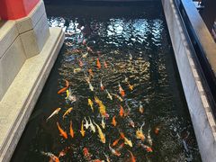 -龙悦湾酒家·八阵鱼生·渔人码头店