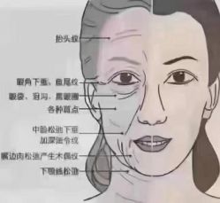 -香薇妮丝女子减肥院