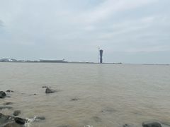 -吴淞炮台湾湿地森林公园烧烤区