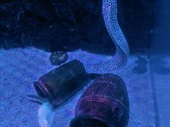 -上海海昌海洋公园