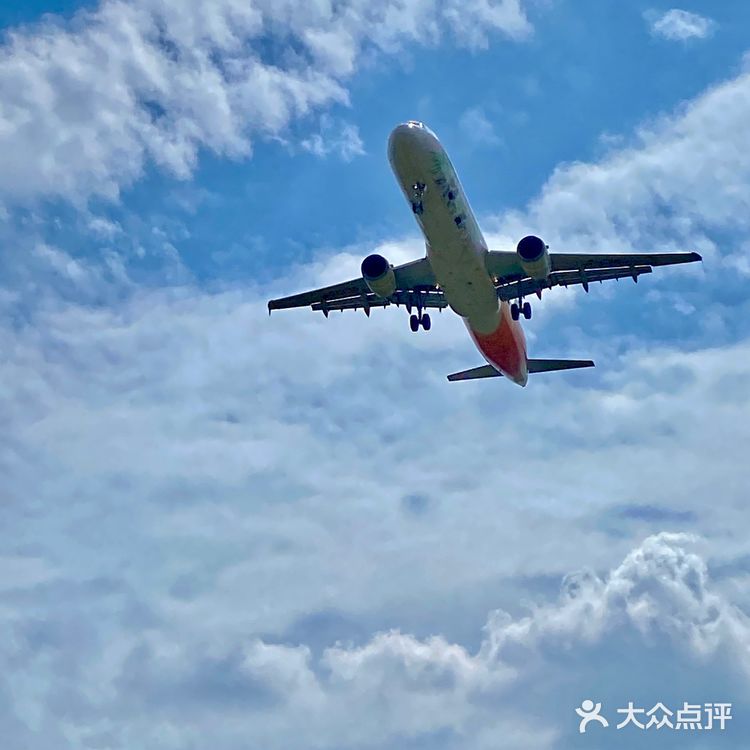 看飞机✈️好去处  拍照真的好好看呀～ 