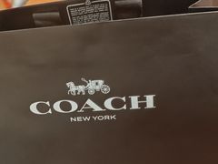 -COACH蔻驰(恒隆广场店)