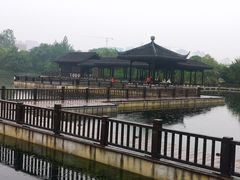 -洋湖国家湿地公园