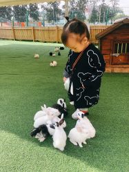 -萌宠亲子动物乐园(槐房万达店)