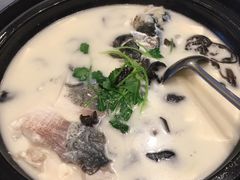 -老淳安—伴山伴湖(千岛湖开元度假村店)