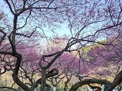 -杭州植物园