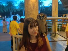 -清迈夜间动物园