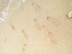 -西涌国际滨海旅游区