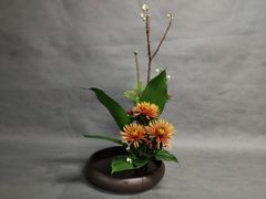 -荷兰布尔玛国际花艺学院