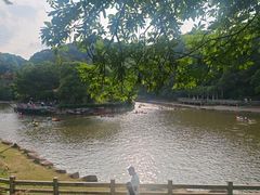 -广州市帽峰山景区