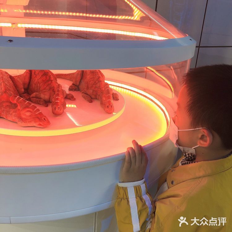 熊猫基地的侏罗纪恐龙乐园