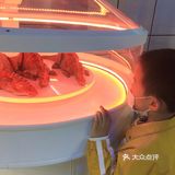 熊猫基地的侏罗纪恐龙乐园