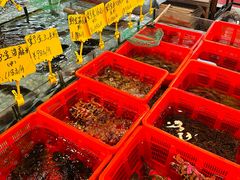 -隆都四季香饭店(碧海路店)