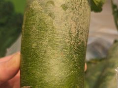 -纪林菜馆·博山菜老字号(八大局店)