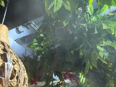 -草原塞蛮羊火锅城(港湾店)