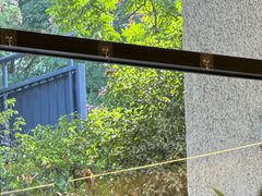 -COTTON CAFE(德信·中外公寓店)