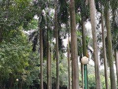 -三水森林公园