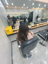 -YESIDO椰岛造型