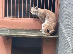 -青藏高原野生动物园