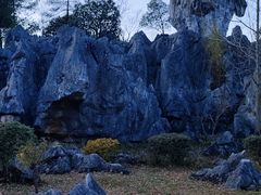 -千岛湖石林