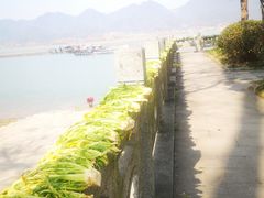 -东梓关景区村庄