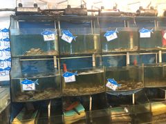 水产区-天桥饭店·特色海鲜(金山嘴渔村店)