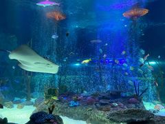 -沈阳海洋探索中心