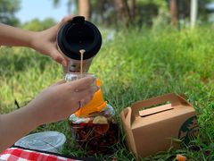 -铁山坪森林公园