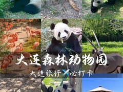 -大连森林动物园