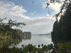 -东湖落雁景区